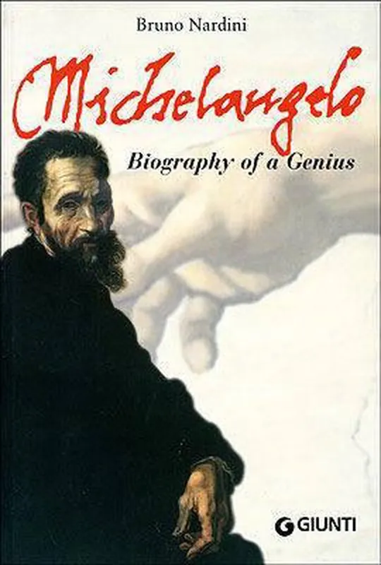 Betaalbaar Michelangelo