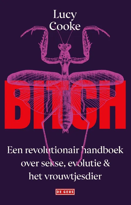 Bitch / Druk 1 Betaalbaar