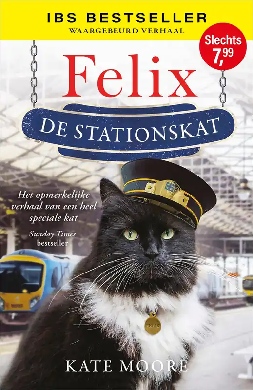Populair Felix, de stationskat