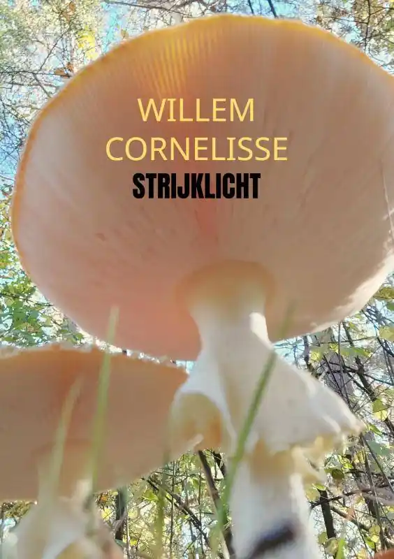 Goedkoop Strijklicht / Druk 1