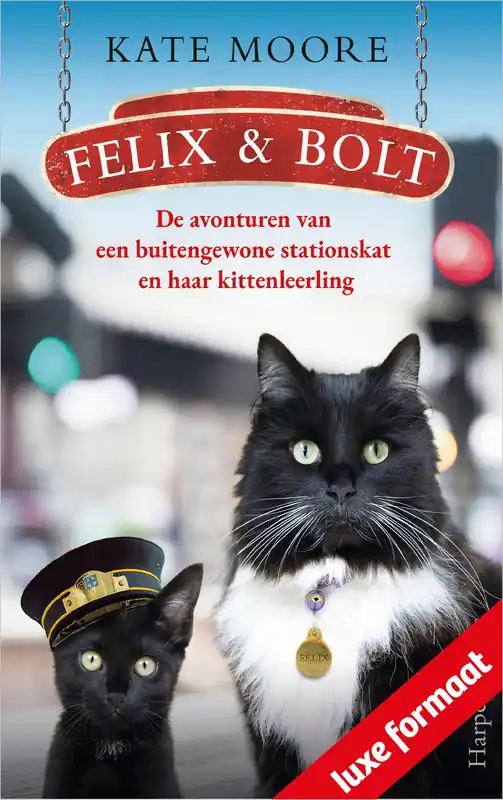Premium Felix & Bolt