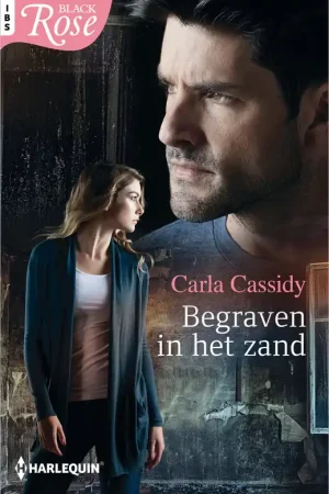 Begraven in het zand Direct Beschikbaar