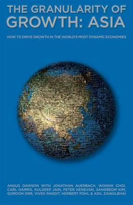 The Granularity of Growth - Asia Bestseller