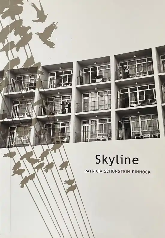 Gecertificeerd Skyline