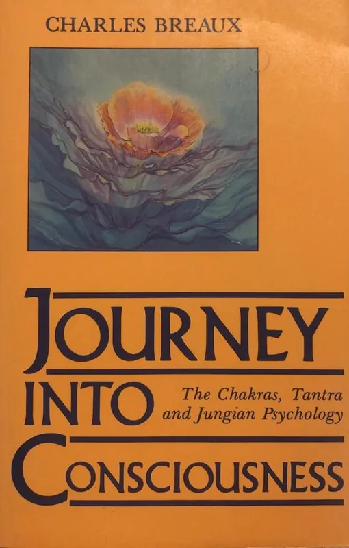 Laatste Kans Journey into Consciousness