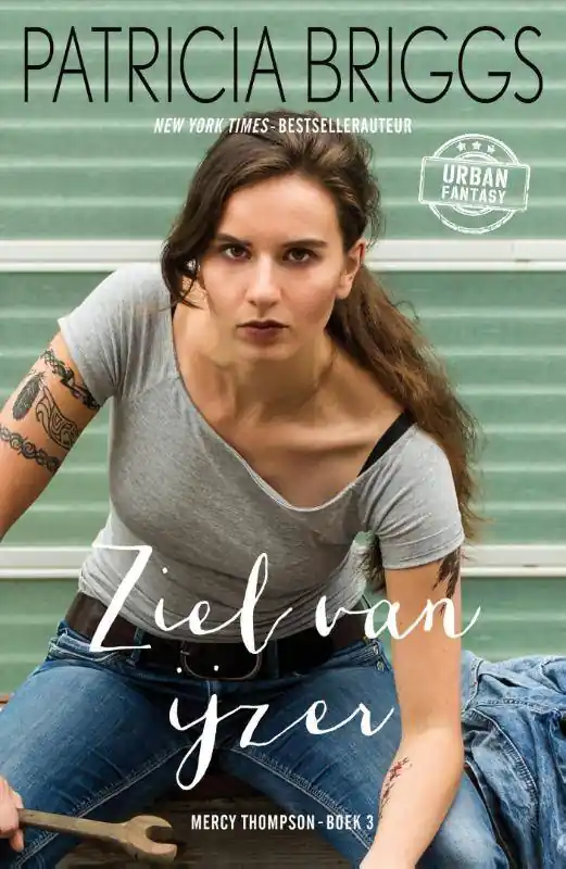 Ziel van ijzer / Druk 1 Veilige Betaling