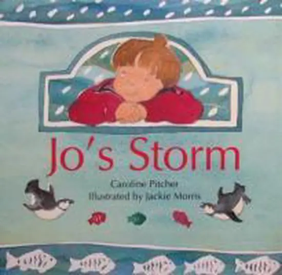 Jo's Storm Snelle Levering