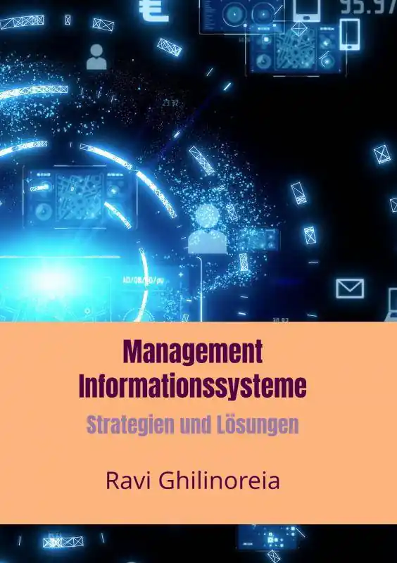 Management Informationssysteme / 1 Edition Hete Deal