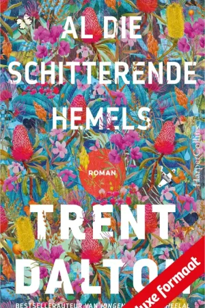Al die schitterende hemels Dagaanbieding