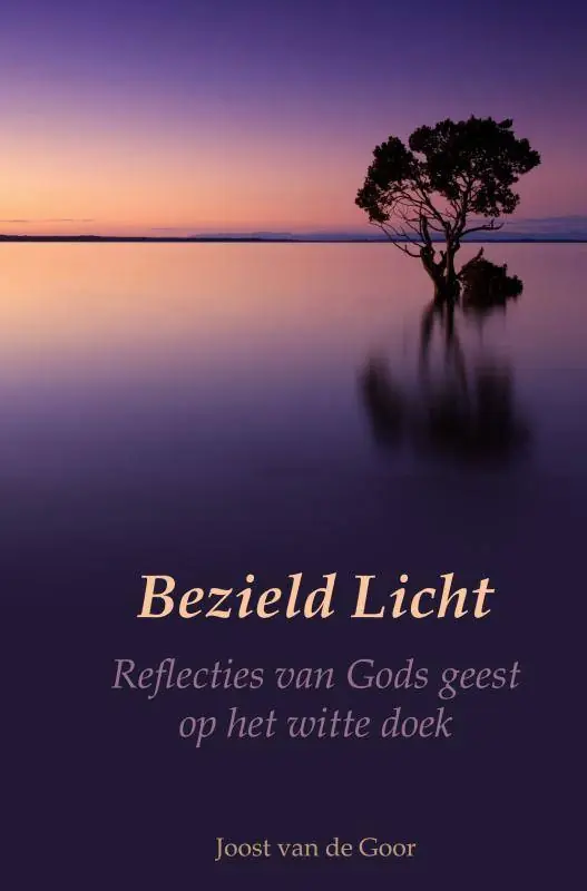 Bezield Licht / Druk 1 Flitsaanbieding