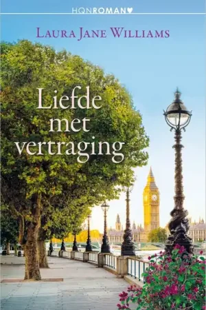 Aanbieding Liefde met vertraging