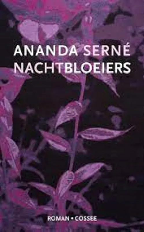 Nachtbloeiers Speciale Aanbieding