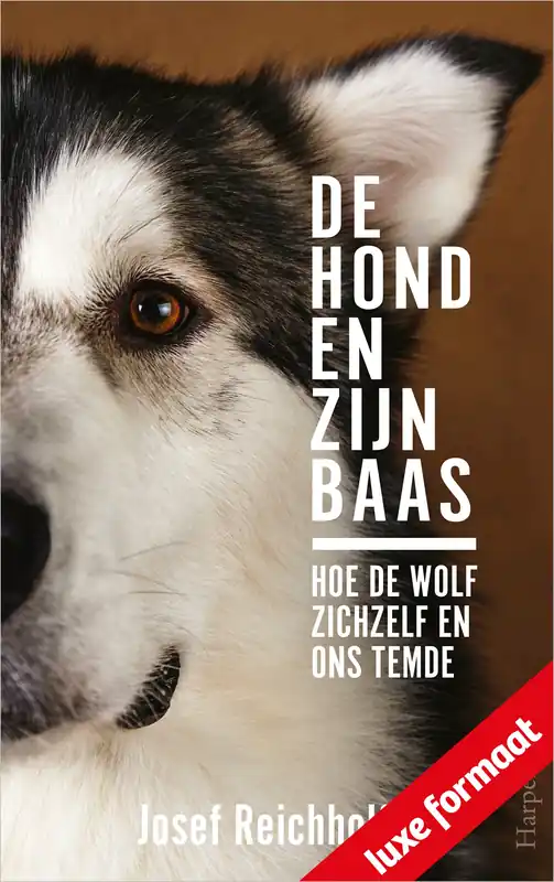 De hond en zijn baas Finale Uitverkoop