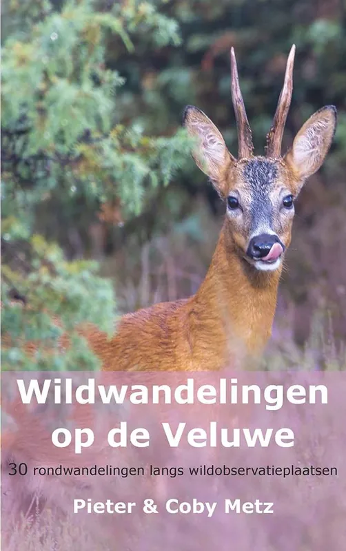 Wildwandelingen op de Veluwe / Druk 1 Beperkte Voorraad