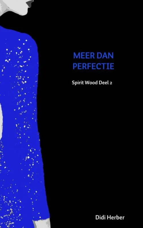 MEER DAN PERFECTIE / Druk 1 Goedkoop