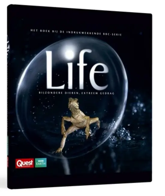 Life Koop Online