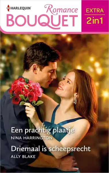 Bestseller Een prachtig plaatje / Driemaal is scheepsrecht