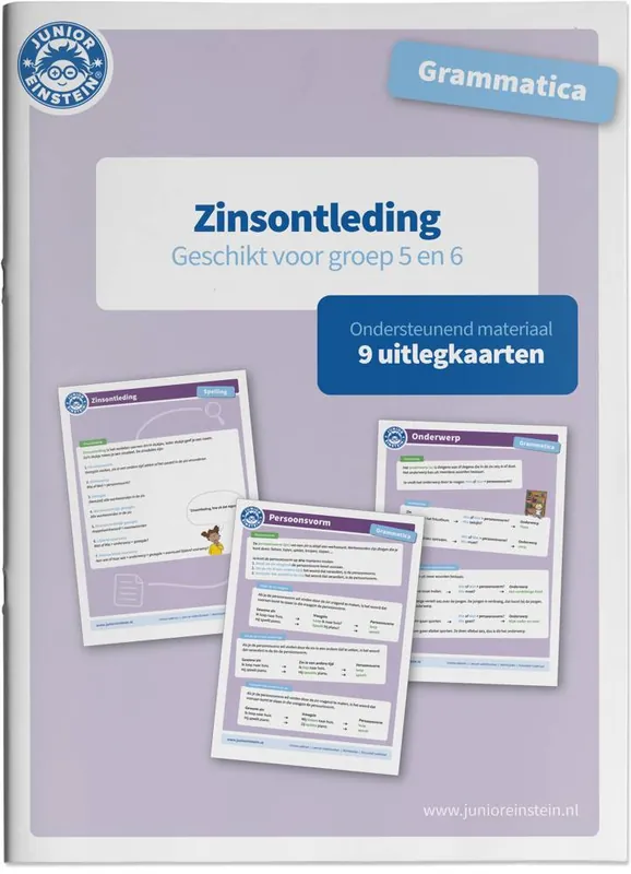 Direct Verzonden Zinsontleding / Druk 1