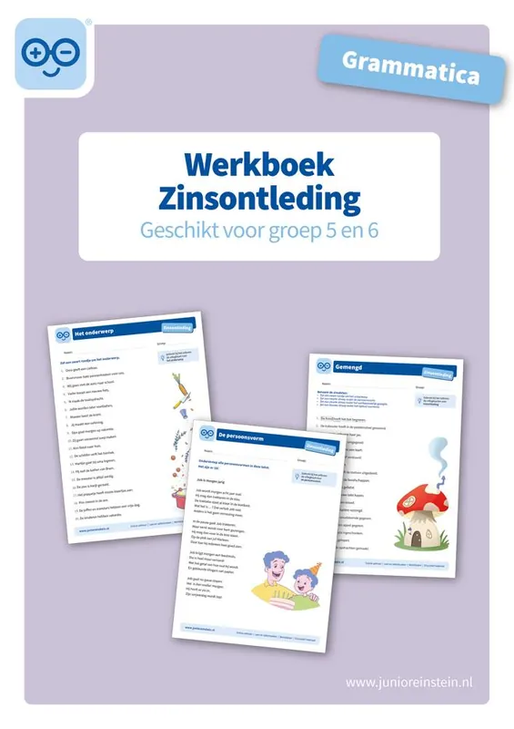 Voordeelprijs Zinsontleding Werkboek Grammatica voor groep 5 en 6 / Druk 1