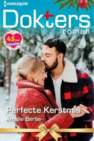 Actieprijs Perfecte Kerstmis