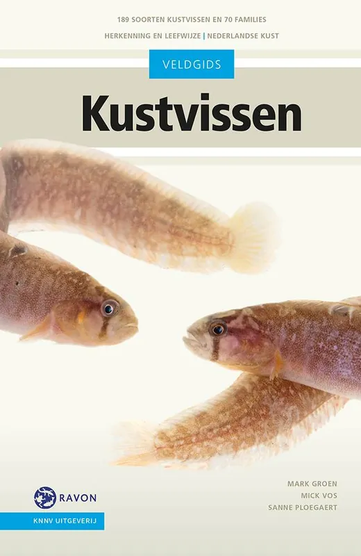 Koop Online Veldgids Kustvissen / Druk 1
