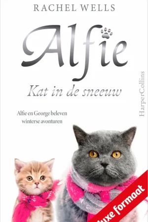 Alfie, kat in de sneeuw Hoge Kwaliteit