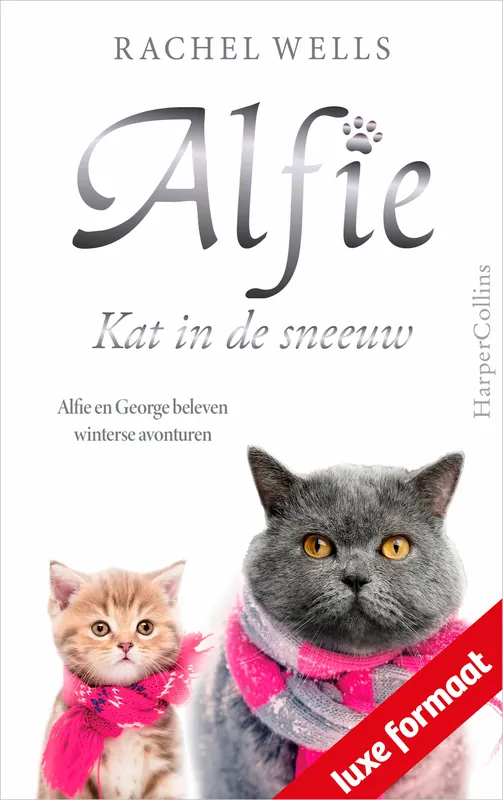 Alfie, kat in de sneeuw Hoge Kwaliteit