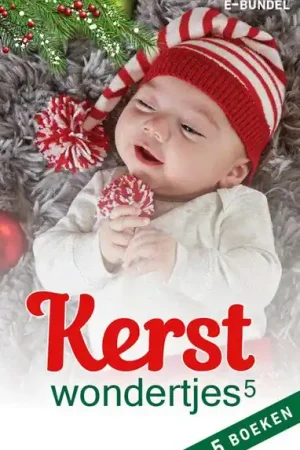 Beperkt Aanbod Kerstwondertjes 5 (5-in-1)
