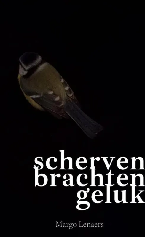 scherven brachten geluk / Druk 1 Flitsaanbieding