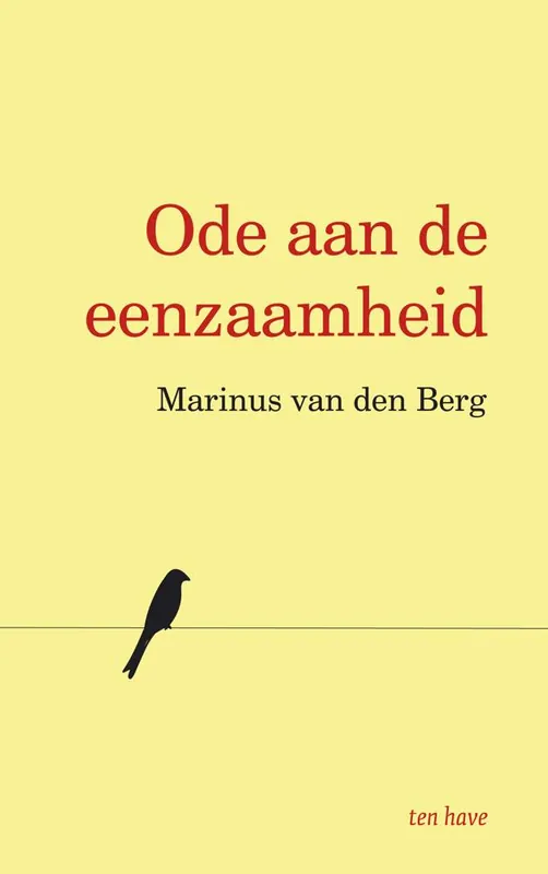 Direct Beschikbaar Ode aan de eenzaamheid / Druk 2