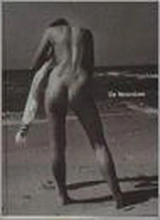 De Noordzee Bestseller