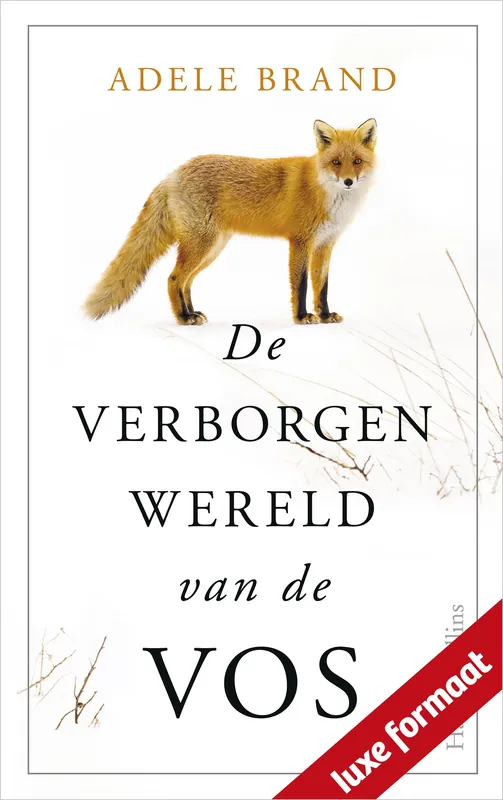 De verborgen wereld van de vos Dagaanbieding