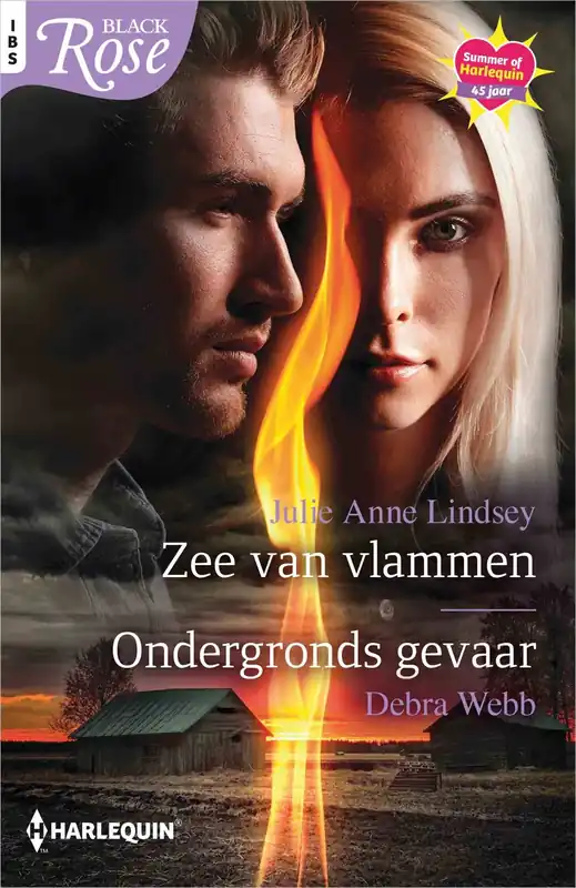 Zee van vlammen / Ondergronds gevaar Snelle Levering