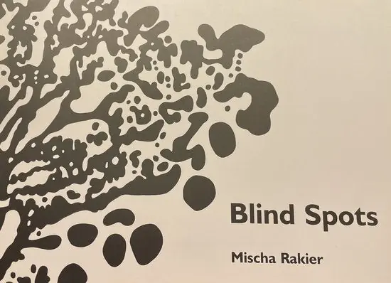 Mischa Rakier - Blind Spots Tijdelijk Beschikbaar