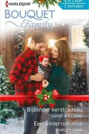 Actieprijs Bijzonder kerstcadeau / Een winterromance