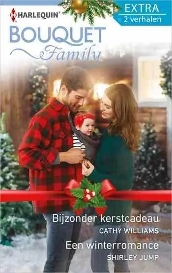 Actieprijs Bijzonder kerstcadeau / Een winterromance