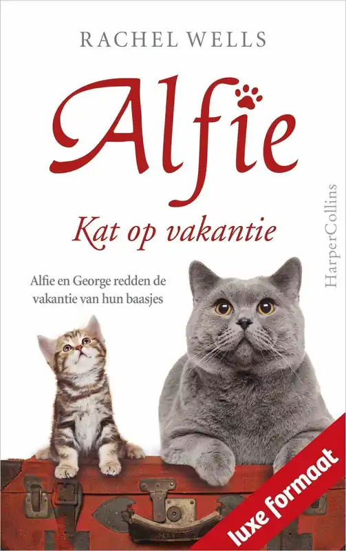 Kat op vakantie Beperkt Aanbod