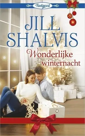 Fabrieksprijs Wonderlijke winternacht