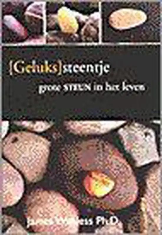 Gelukssteentje Bestel Nu