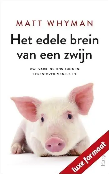 Op = Op Het edele brein van een zwijn