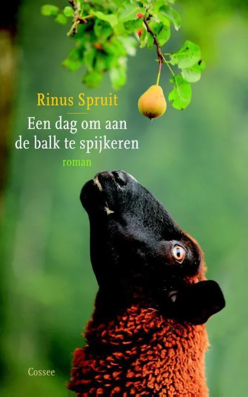 Beste Prijs Een dag om aan de balk te spijkeren