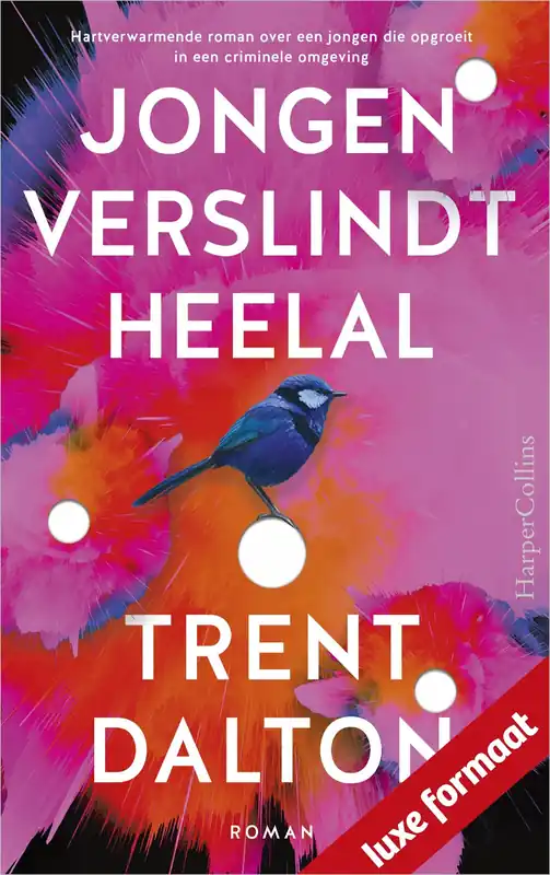 Favoriet Jongen verslindt heelal