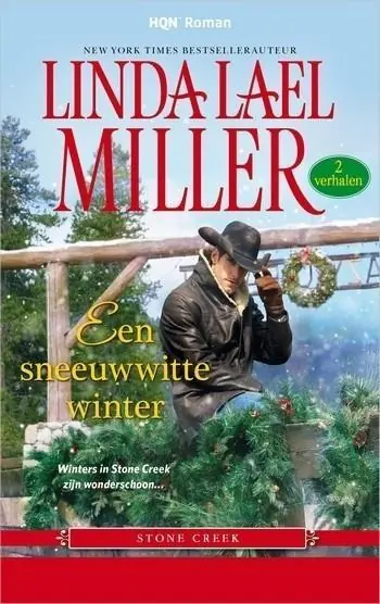 Veilige Betaling Een sneeuwwitte winter