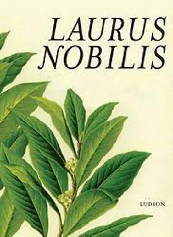 Premium Laurus Nobilis