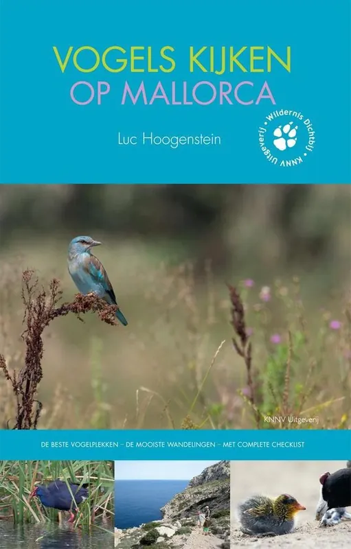 Vogels kijken in 4 - Vogels kijken op Mallorca Rechtstreeks Van De Fabrikant