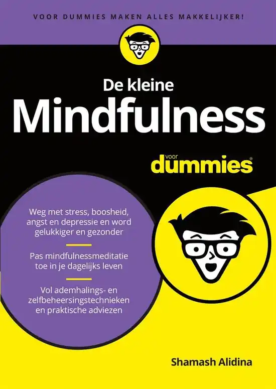 Voor Dummies - De kleine mindfulness voor dummies Direct Verzonden