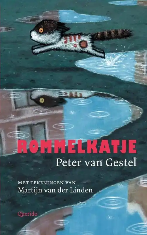 Nieuw Rommelkatje
