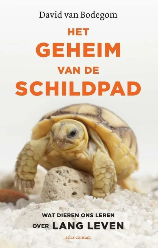 Het geheim van de schildpad Bestseller