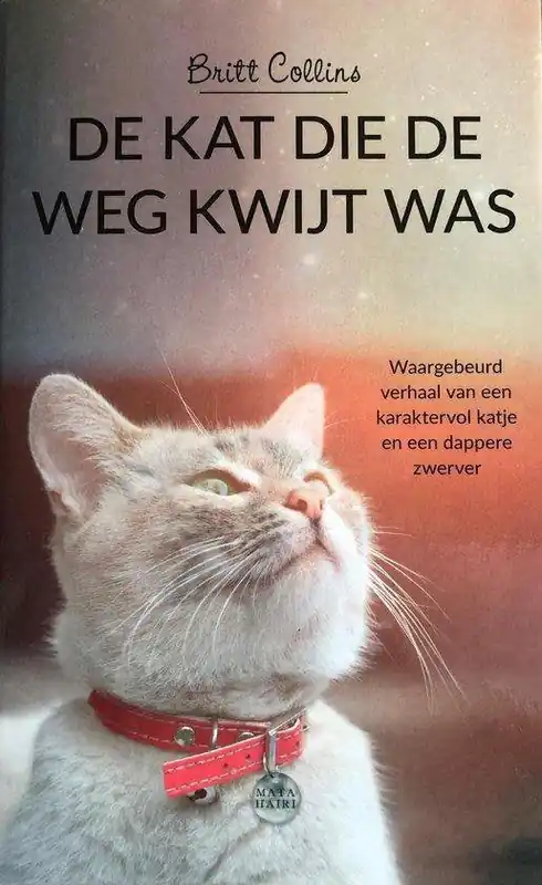 De kat die de weg kwijt was Finale Uitverkoop