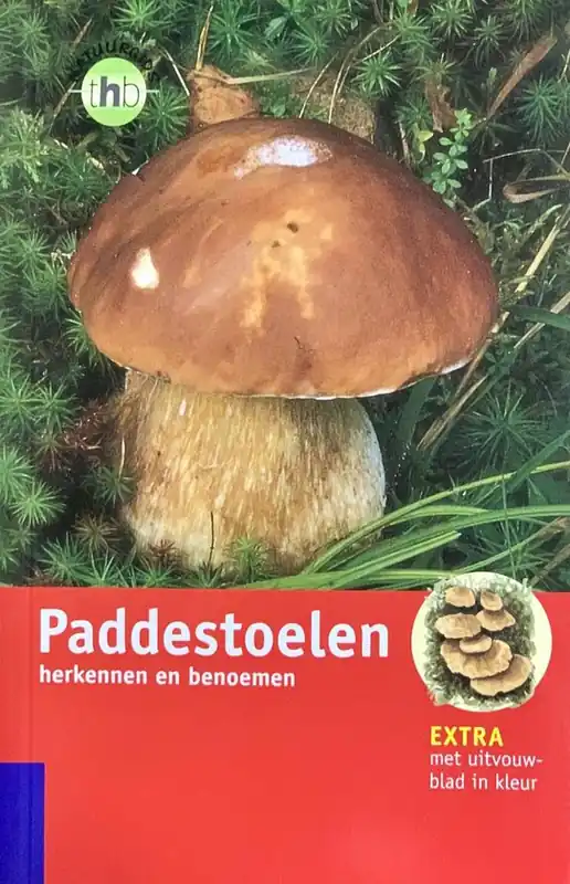 Paddestoelen Gereduceerde Prijs